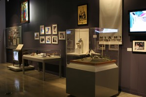 Display Cases with Acrylic Vitrines