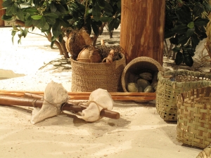 Calusa style shell tools were researched and recreated by the AST art team.