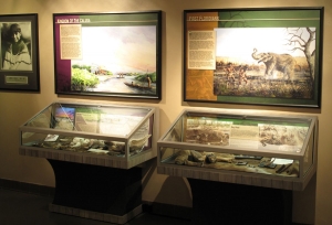 AST Exhibits created these artifact display cases for the Native People's Room at the Naples Depot Museum.