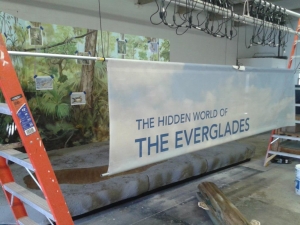 SFSM Everglades Exhibit