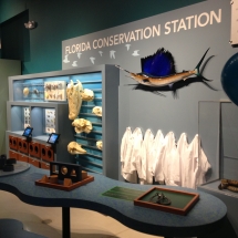 Conservation Station Lab Table