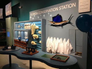 Conservation Station Lab Table