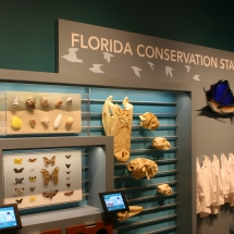Artifacts Mounted and on Display