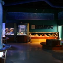 Aquariums of the Atlantic