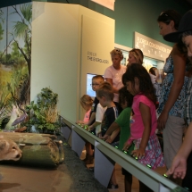 Interactive Everglades Exhibit