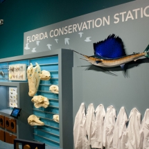 Florida Conservation Station