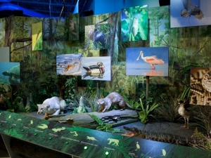 Interactive Exhibit which showcases the animals of the Everglades