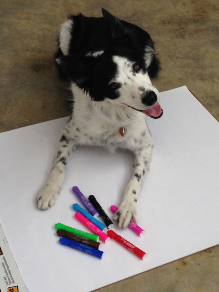 Piper is the real genius behind all AST Exhibits designs. Don’t even think about using her hot pink marker.